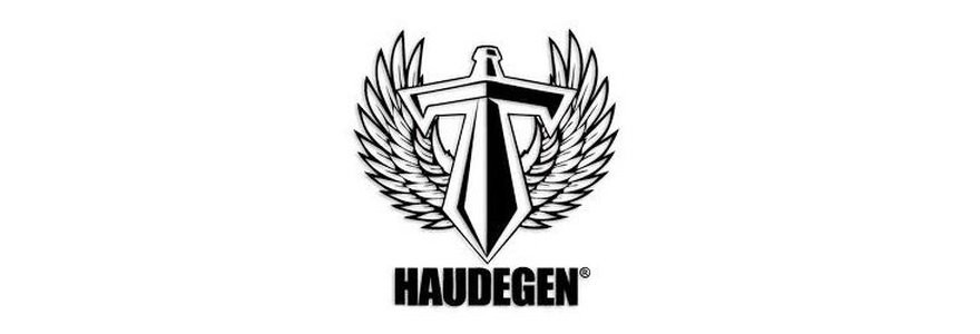 Haudegen